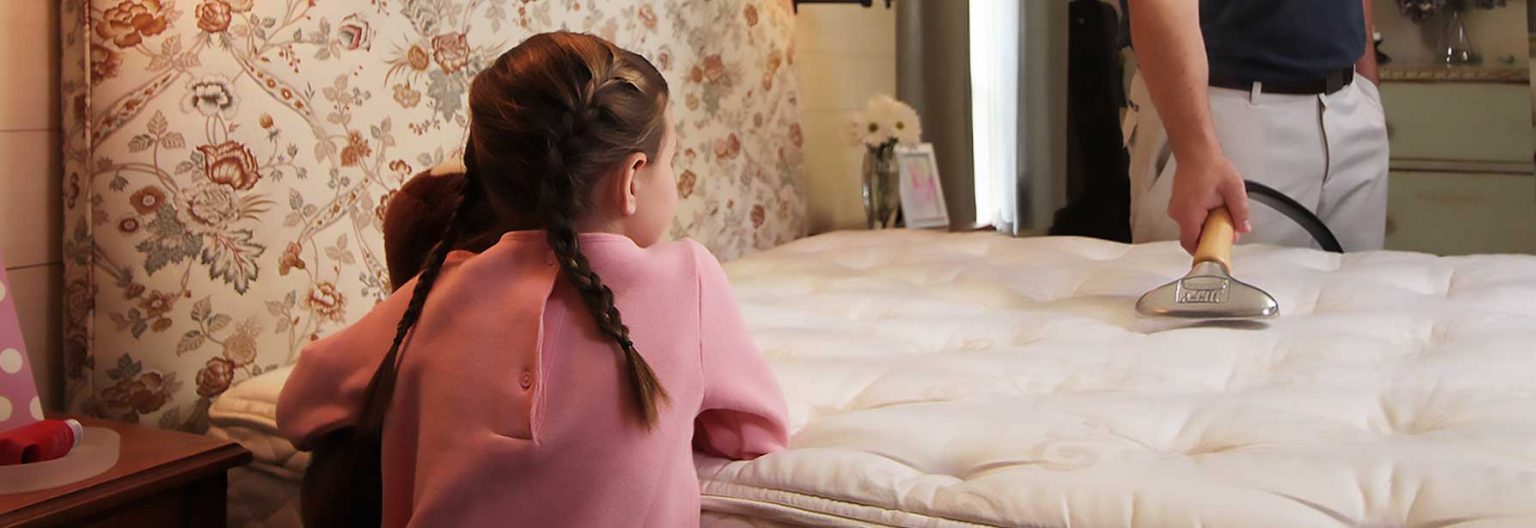 Safe & Effective Bed Bug Steamers Jiffy Steamer